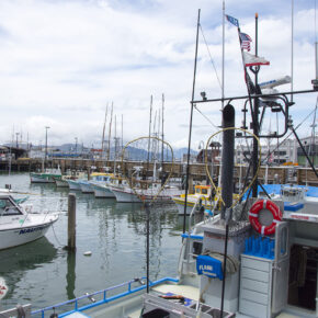 San Francisco - słynny port w mieście