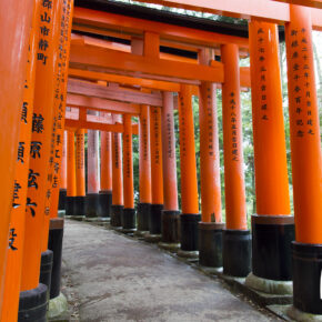Słynne "czerwone bramy" - Fushimi Inari-Taisha. Kioto.
