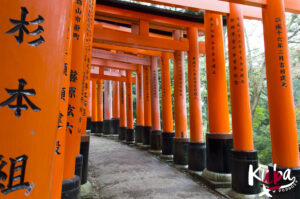 Słynne "czerwone bramy" - Fushimi Inari-Taisha. Kioto.
