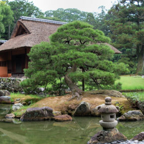 Kioto Imperial Palace - ogrody