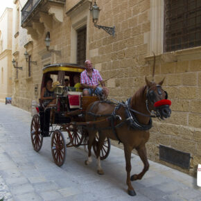 Malta - tradycyjny transport konny