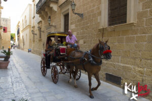 Malta - tradycyjny transport konny