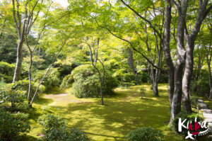 Ścieżka filozofów