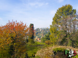 Bergamo - winnice na przedmieściach miasta