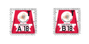 Winiety w Austrii 2018 - wzór winiety 10-dniowej ©asfinag.at