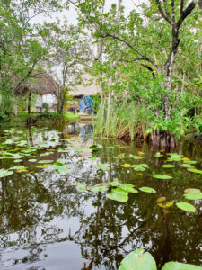 Everglades